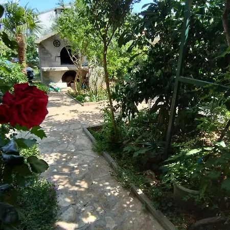 Kutlesa *