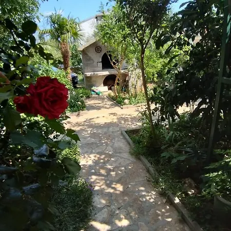 Kutlesa *